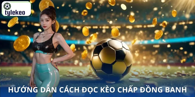 chap-dong-banh-la-gi-huong-dan