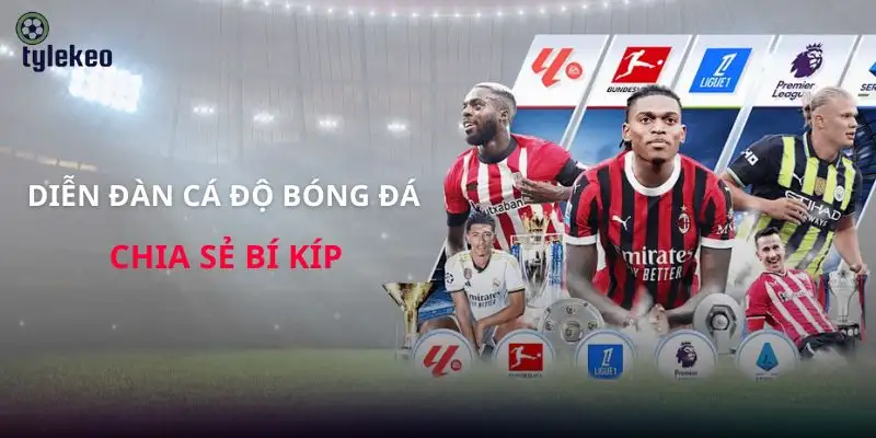 dien-dan-ca-do-bong-da