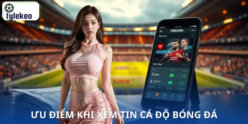 forum-ca-do-bong-da-uu-diem