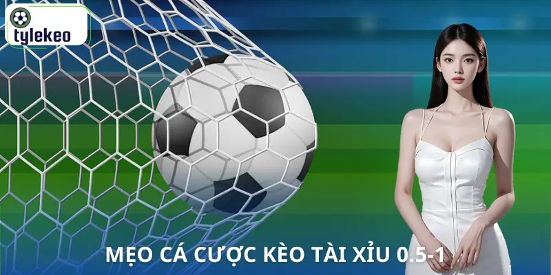 keo-tai-xiu-0-5-1-la-gi-meo-choi