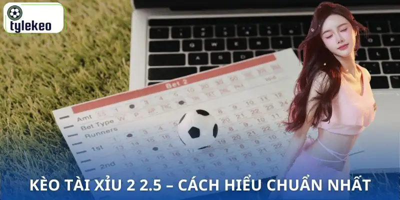 keo-tai-xiu-2-2-5-hieu-dung