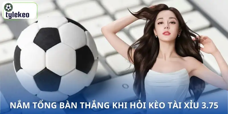 keo-tai-xiu-3-75-la-gi-tong-ban-thang