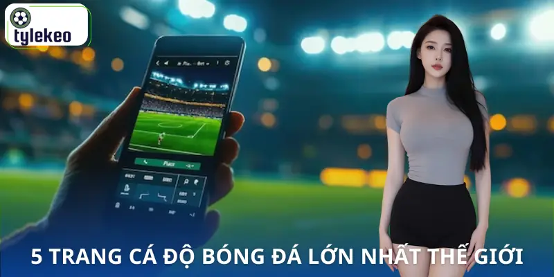 trang-ca-do-bong-da-lon-nhat-the-gioi-danh-sach