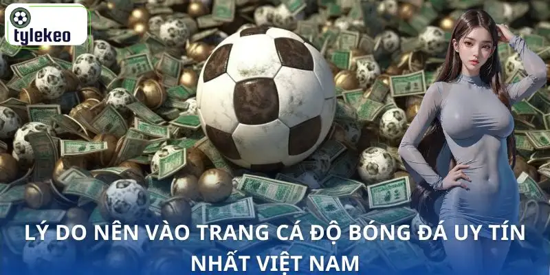 trang-ca-do-bong-da-uy-tin-nhat-viet-nam-ly-do-nen-vao